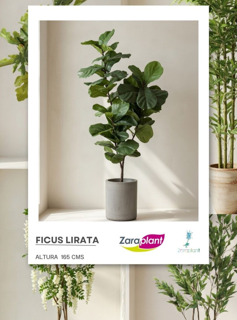Instagram- zaraplant flores plantas artificiales