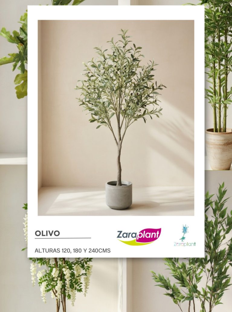 Instagram-🌿✨ Un toque mediterráneo que nunca falla… nuestros olivos llenan tu espacio de calma, estilo y personalidad 🫒 zaraplant flores plantas artificiales