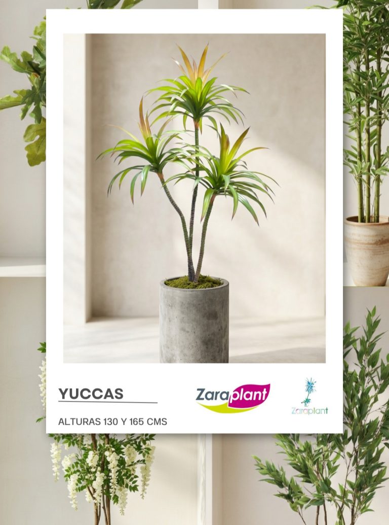 Instagram-🌵✨ Moderna, atrevida y con mucha personalidad… nuestra yucca es perfecta para darle un toque actual a cualquier espacio 💚 zaraplant flores plantas artificiales