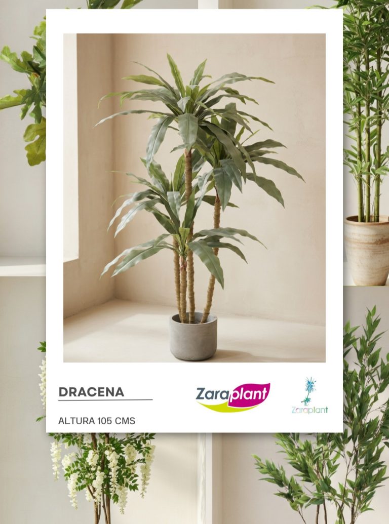 Instagram-El verde que siempre estuviste buscando. ✨ zaraplant flores plantas artificiales