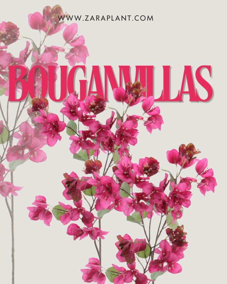 Instagram-Es tiempo de bouganvillas. zaraplant flores plantas artificiales