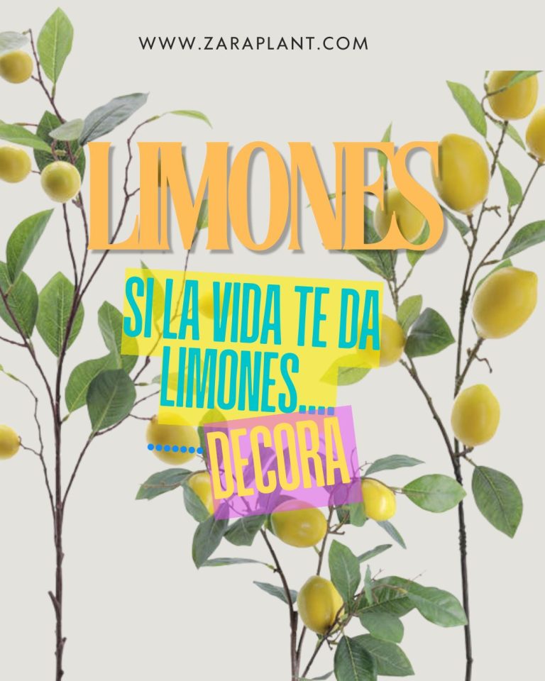 Instagram-🍋 Si la vida te da limones… decora para siempre. zaraplant flores plantas artificiales