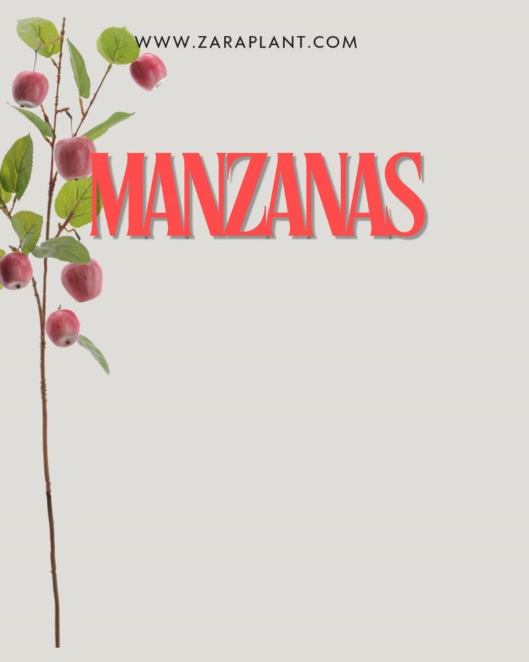 Instagram-Nuestras ramas de manzanas artificiales combinan realismo y elegancia para elevar tus proyectos de decoración al siguiente nivel. Perfectas para escaparates, eventos, hoteles, restaurantes y mucho más. zaraplant flores plantas artificiales