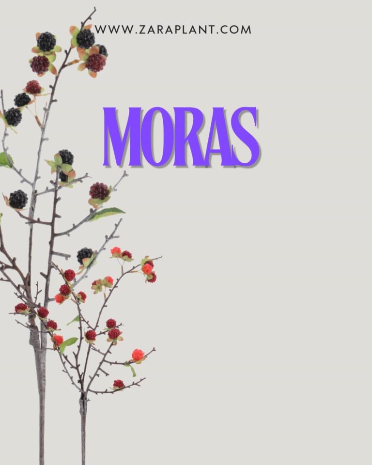 Instagram-Pequeñas, silvestres y con mucho carácter. 🫐 zaraplant flores plantas artificiales