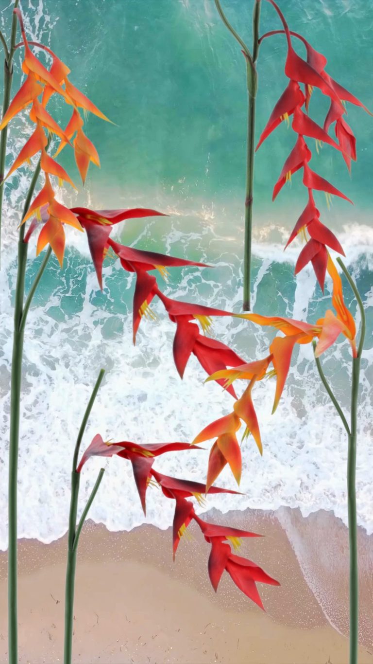 Instagram-¡Por fin! Nuestras nuevas Heliconias artificiales acaban de llegar y son absolutamente espectaculares. zaraplant flores plantas artificiales