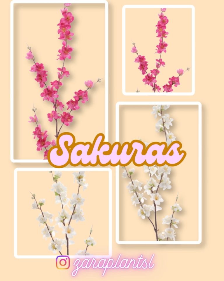 Instagram-La sakura, o cerezo japonés, es una de las flores más admiradas del mundo. Sus pétalos en rosa y blanco representan la belleza, la esperanza y el paso del tiempo. zaraplant flores plantas artificiales