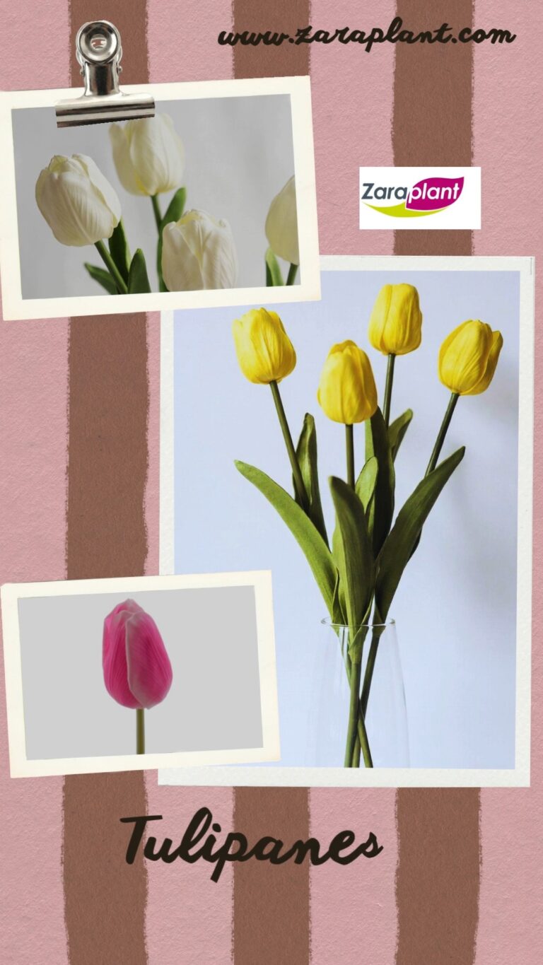 Instagram-🌷 Tulipanes artificiales que parecen de verdad. Nuestros tulipanes son los más bonitos del mercado. Y nuestra línea Real Touch lleva el realismo al siguiente nivel tacto suave, natural y sorprendentemente auténtico. zaraplant flores plantas artificiales
