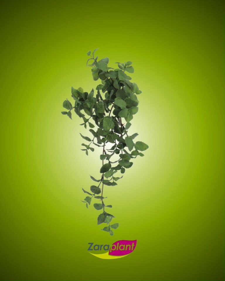 Instagram-Para los que amamos las plantas pero las amamos demasiado como para matarlas. zaraplant flores plantas artificiales