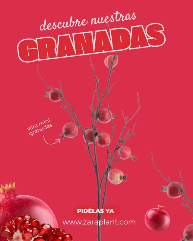 Instagram-🍎✨ Roja, brillante y con una pinta increíble… pero esta no se pone mala. zaraplant flores plantas artificiales