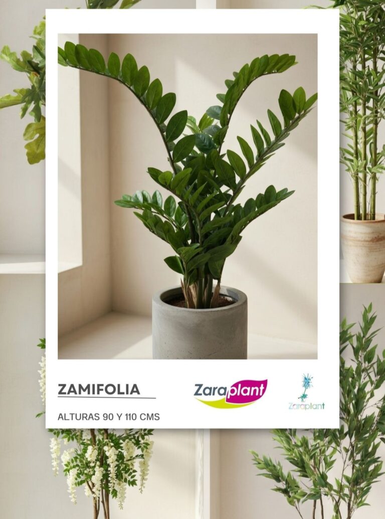 Instagram-Verde todo el año, llueva, nieve o te olvides de regarla. 🌿✨ zaraplant flores plantas artificiales