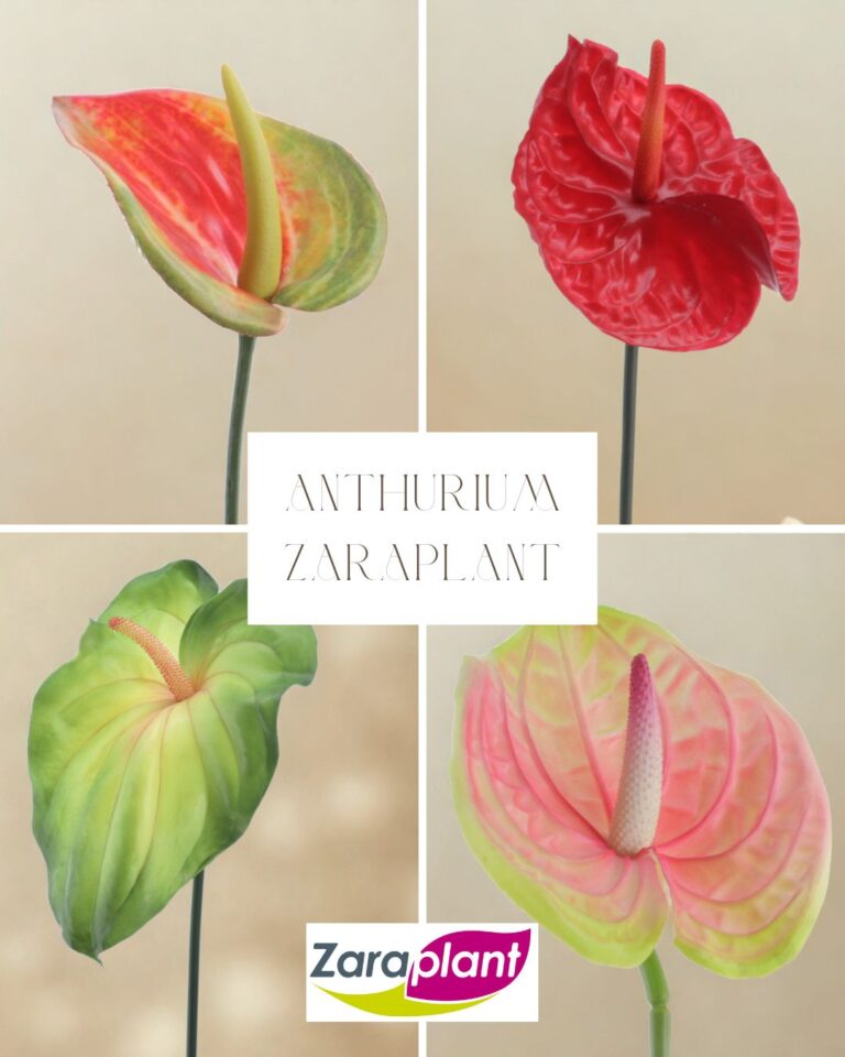 Instagram-Tan real que engaña. Tan perfecto que no necesita cuidados. 🌺 zaraplant flores plantas artificiales