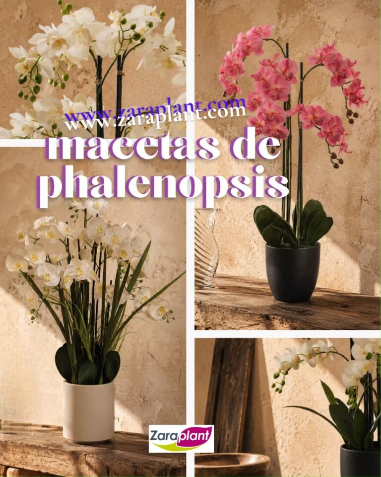 Instagram-Y si tu espacio floreciera todo el año? zaraplant flores plantas artificiales