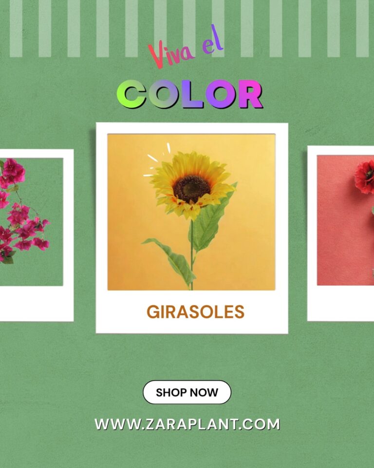 Instagram-🌸 ¡VIVA EL COLOR! 🌺 zaraplant flores plantas artificiales