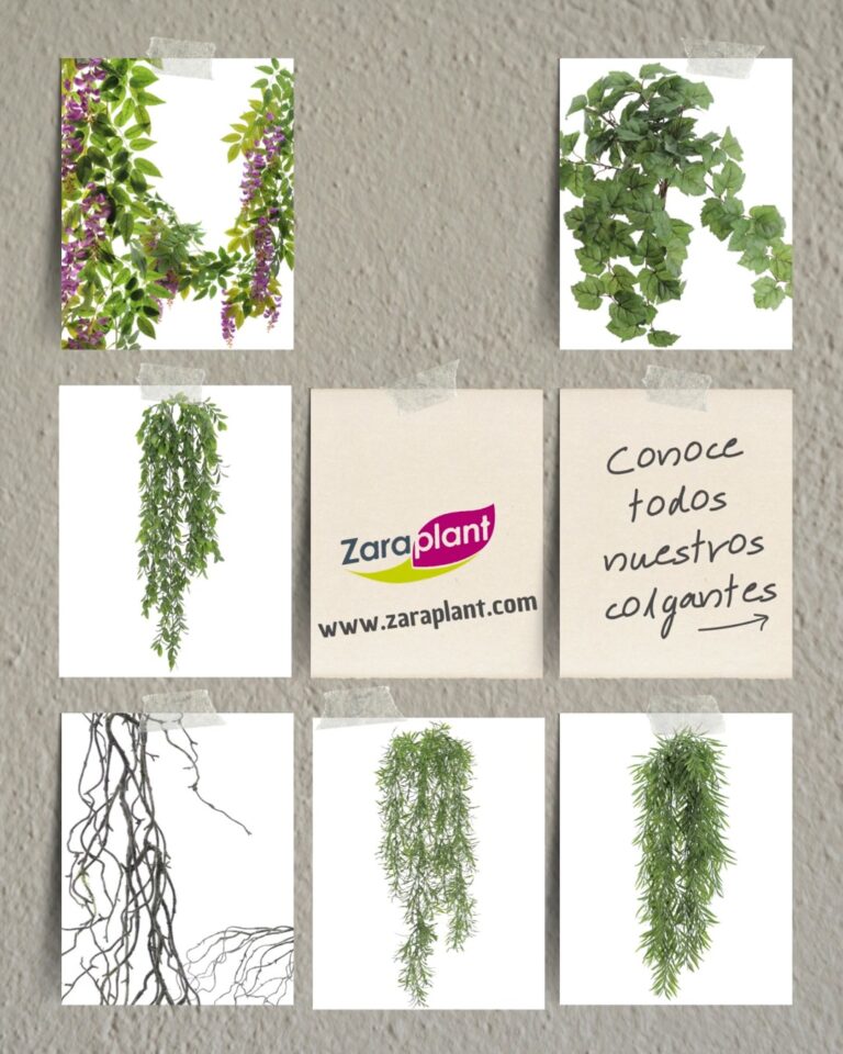 Instagram-🌿 ¿Tu proyecto pide verde? Nosotros lo ponemos fácil. zaraplant flores plantas artificiales