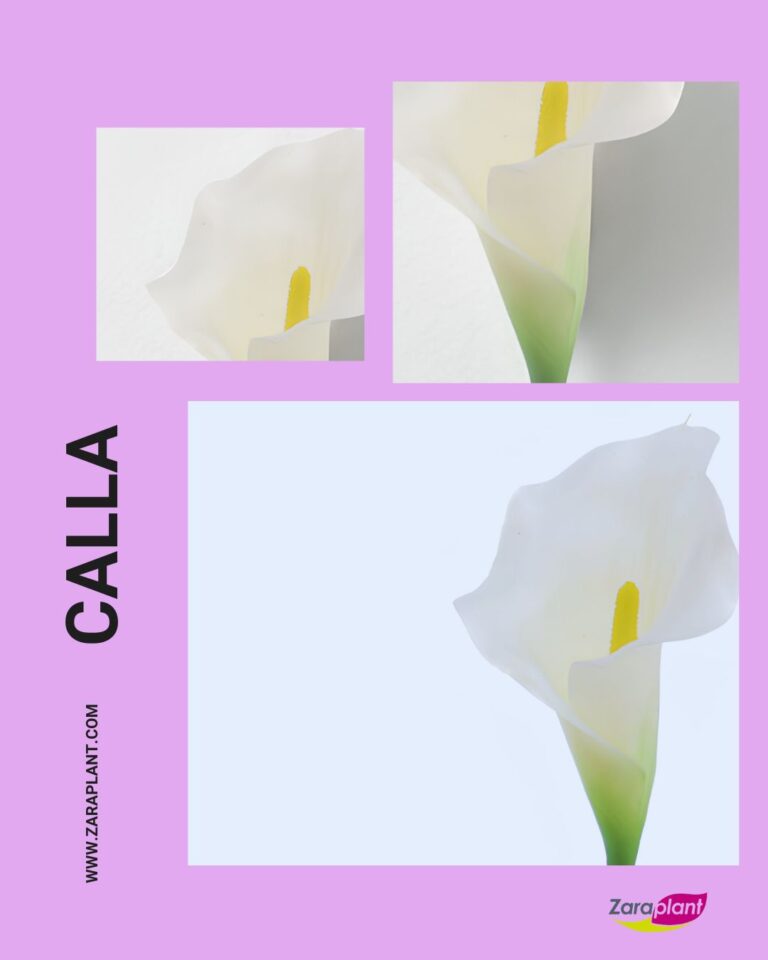 Instagram-Hay flores que enamoran a primera vista… y la calla es una de ellas. 🌸 zaraplant flores plantas artificiales