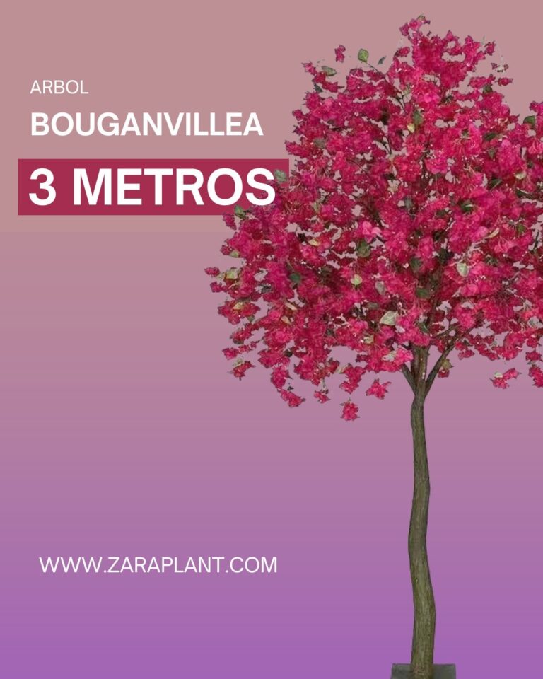 Instagram-3 metros de pura bouganvillea. ✨ zaraplant flores plantas artificiales