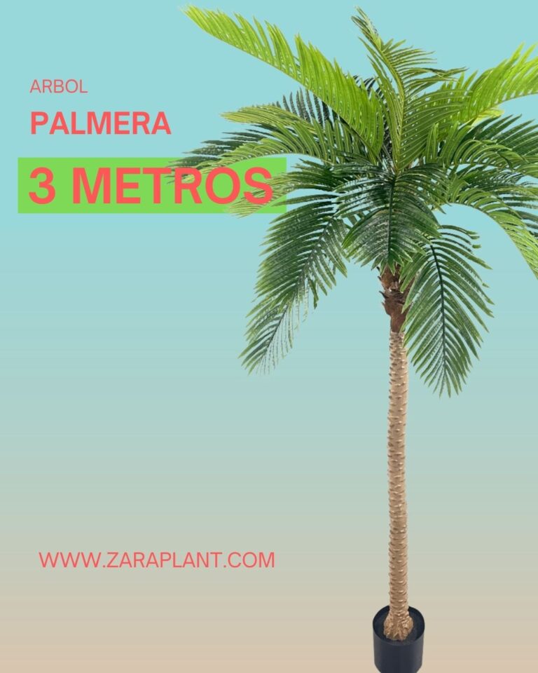 Instagram-Ya está aquí. 🌴 zaraplant flores plantas artificiales