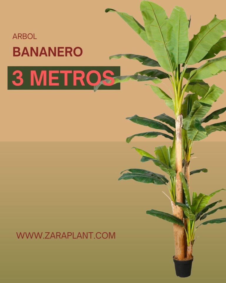 Instagram-Nuestro bananero artificial de 3 metros ha llegado para transformar espacios que buscan impacto real sin renunciar a la elegancia. zaraplant flores plantas artificiales