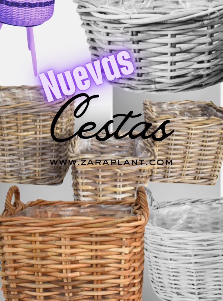 Instagram-NUEVA COLECCIÓN DE CESTAS DE MIMBRE zaraplant flores plantas artificiales