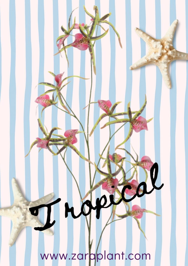 Instagram-Hay lugares que se sienten como vacaciones… y el tuyo puede ser uno de ellos 🌴 zaraplant flores plantas artificiales