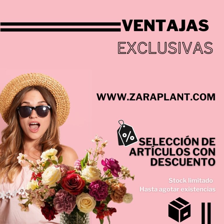 Instagram-✨ ¡Llegaron las VENTAJAS EXCLUSIVAS! ✨ zaraplant flores plantas artificiales